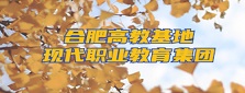 合肥高教基地現代職業教育集團